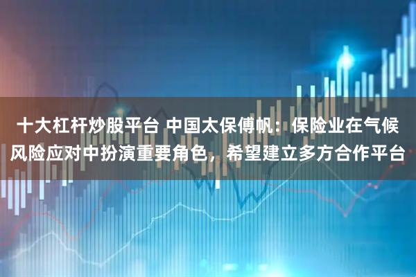十大杠杆炒股平台 中国太保傅帆：保险业在气候风险应对中扮演重要角色，希望建立多方合作平台